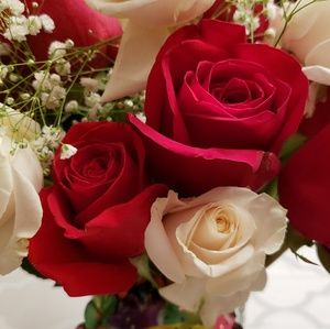 Meet your Posher, Joan